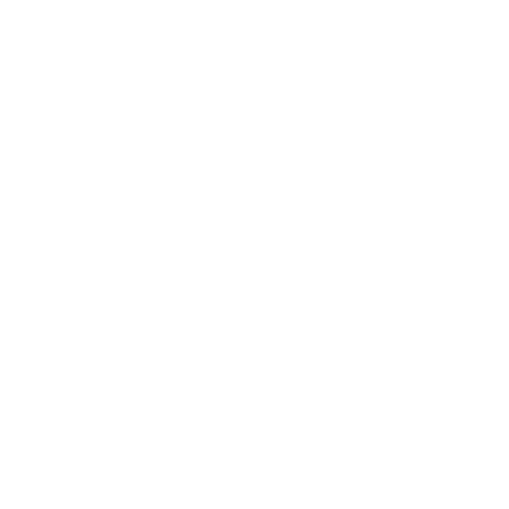auditoría web
